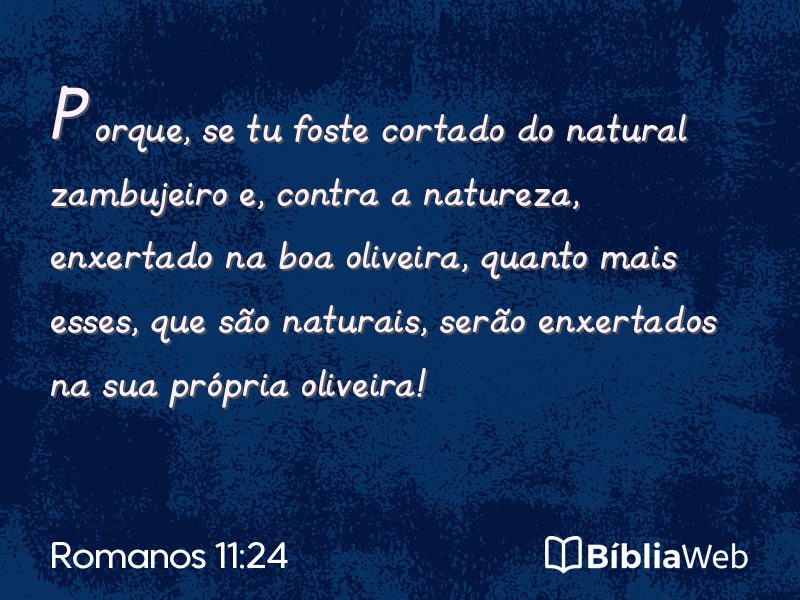Romanos 11:24 em imagem para compartilhar