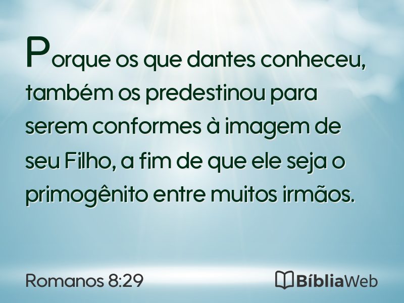 Romanos 8:29 em imagem para compartilhar