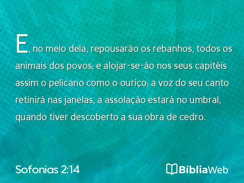 Sofonias 2:14 em imagem para compartilhar