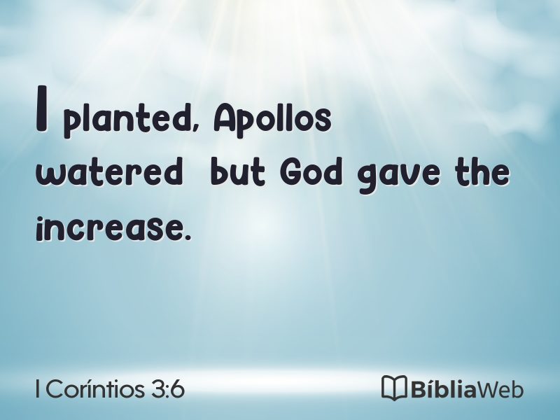I Coríntios 3:6 em imagem para compartilhar