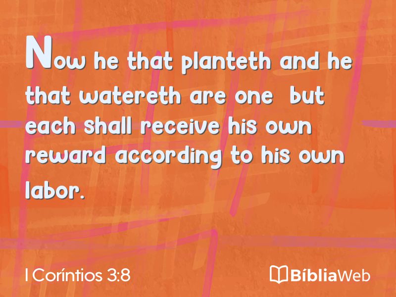 I Coríntios 3:8 em imagem para compartilhar