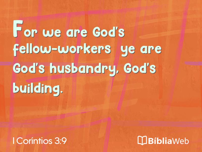 I Coríntios 3:9 em imagem para compartilhar