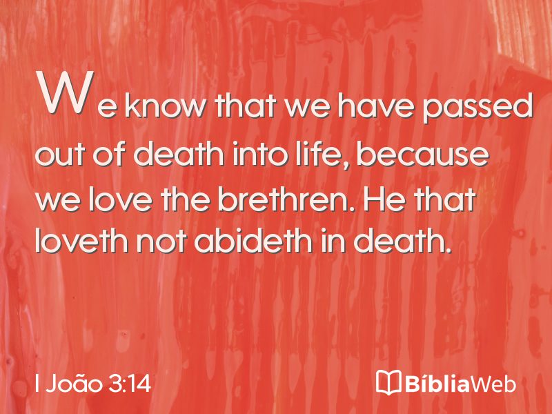 I João 3:14 em imagem para compartilhar