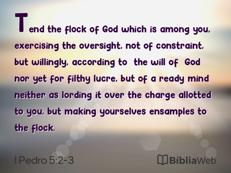 I Pedro 5:2-3 em imagem para compartilhar