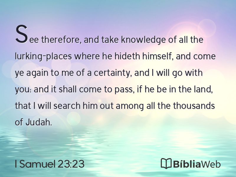 I Samuel 23:23 em imagem para compartilhar