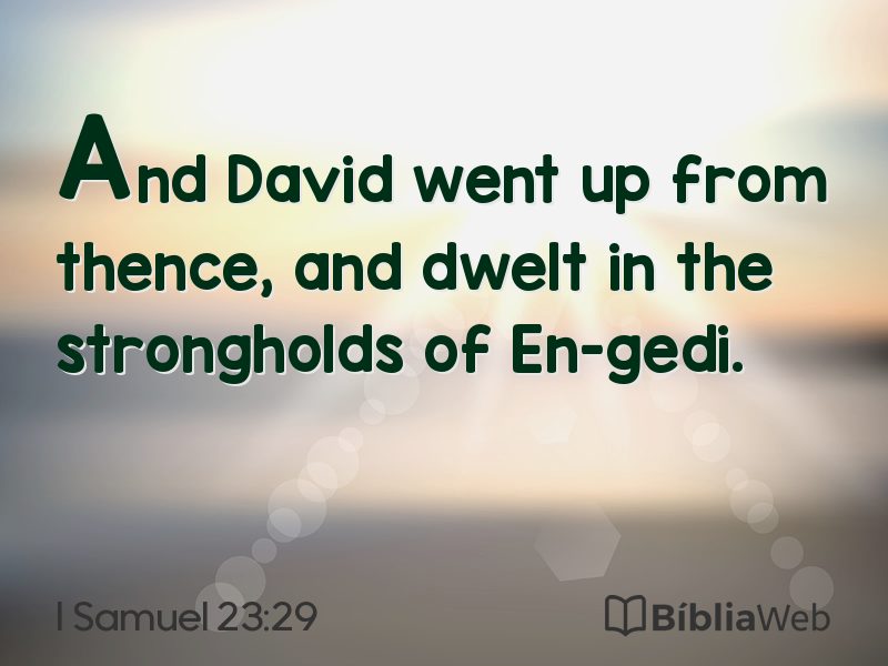 I Samuel 23:29 em imagem para compartilhar