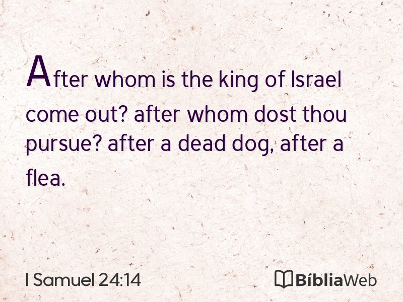 I Samuel 24:14 em imagem para compartilhar