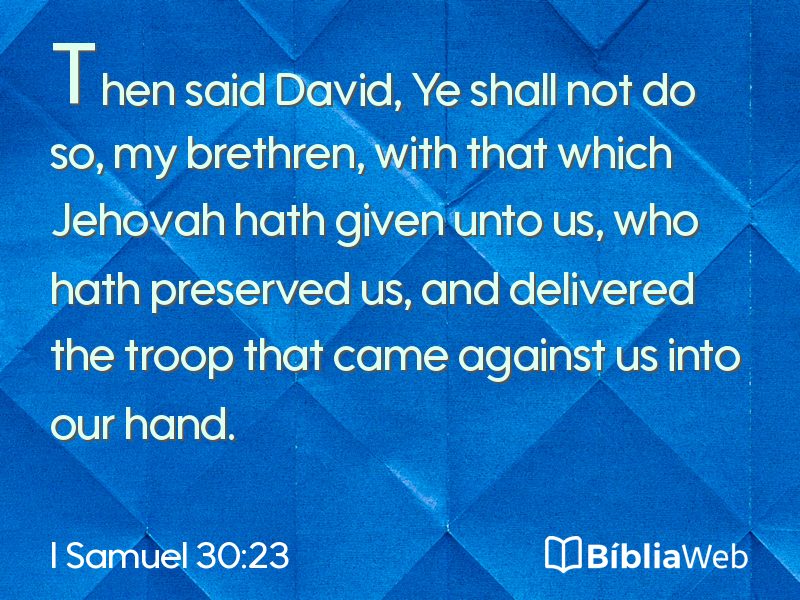 I Samuel 30:23 em imagem para compartilhar