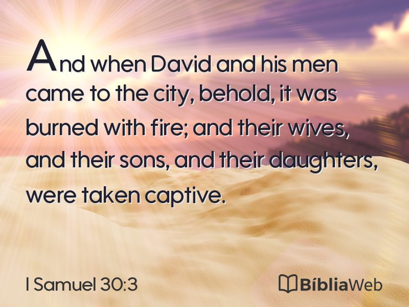 I Samuel 30:3 em imagem para compartilhar