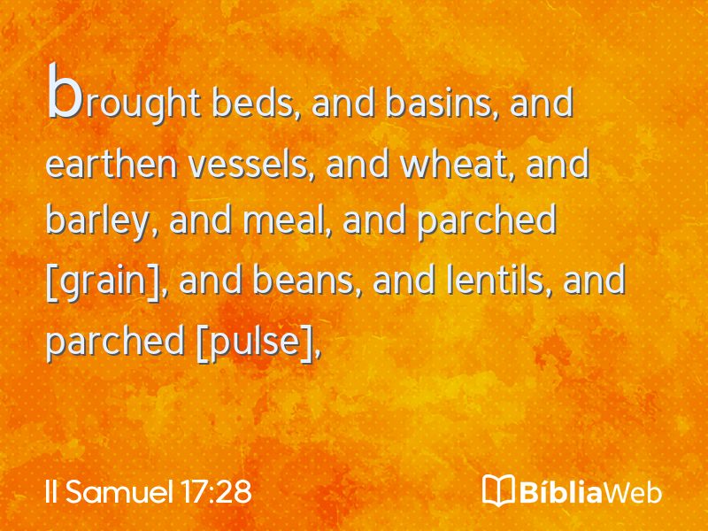 II Samuel 17:28 em imagem para compartilhar