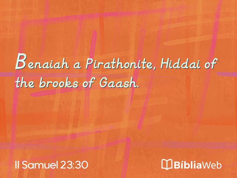 II Samuel 23:30 em imagem para compartilhar