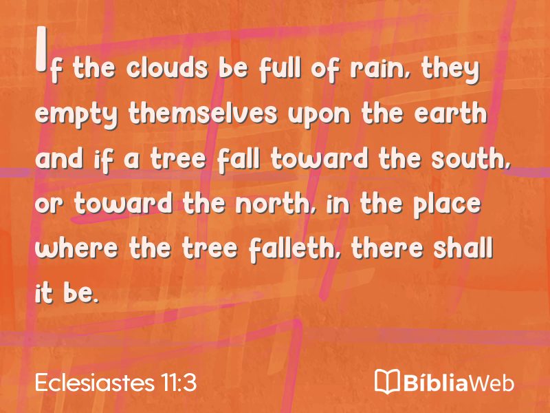 Eclesiastes 11:3 em imagem para compartilhar