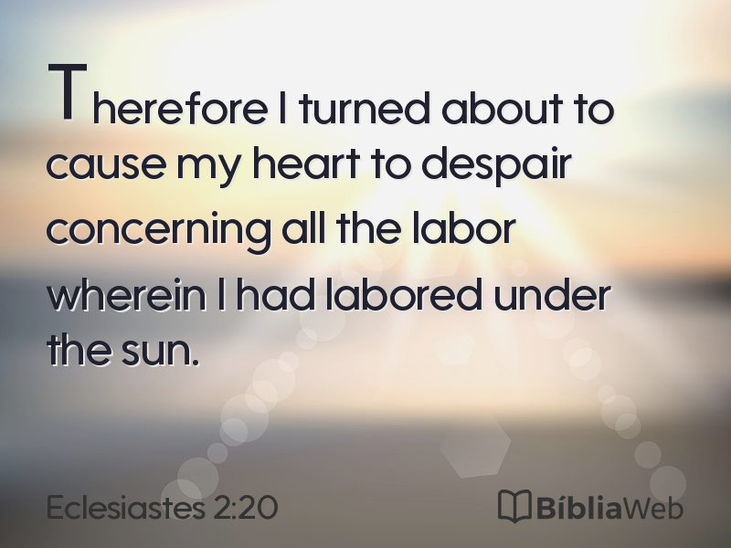 Eclesiastes 2:20 em imagem para compartilhar