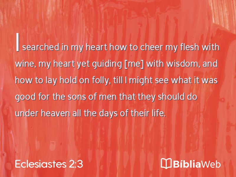 Eclesiastes 2:3 em imagem para compartilhar
