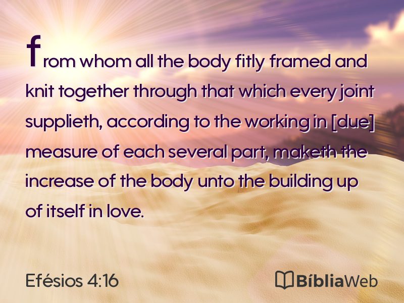 Efésios 4:16 em imagem para compartilhar