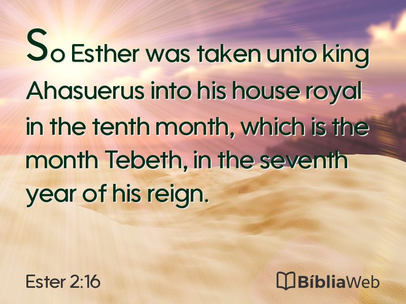 Ester 2:16 em imagem para compartilhar