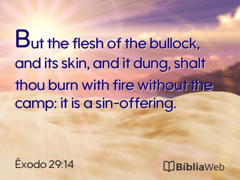 Êxodo 29:14 em imagem para compartilhar