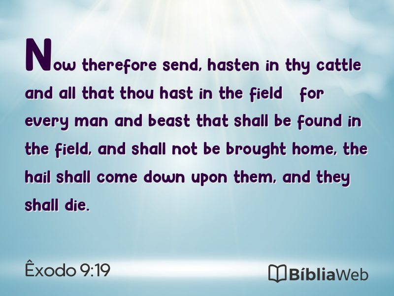 Êxodo 9:19 em imagem para compartilhar
