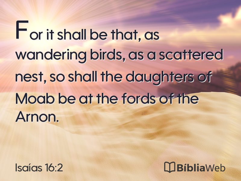 Isaías 16:2 em imagem para compartilhar