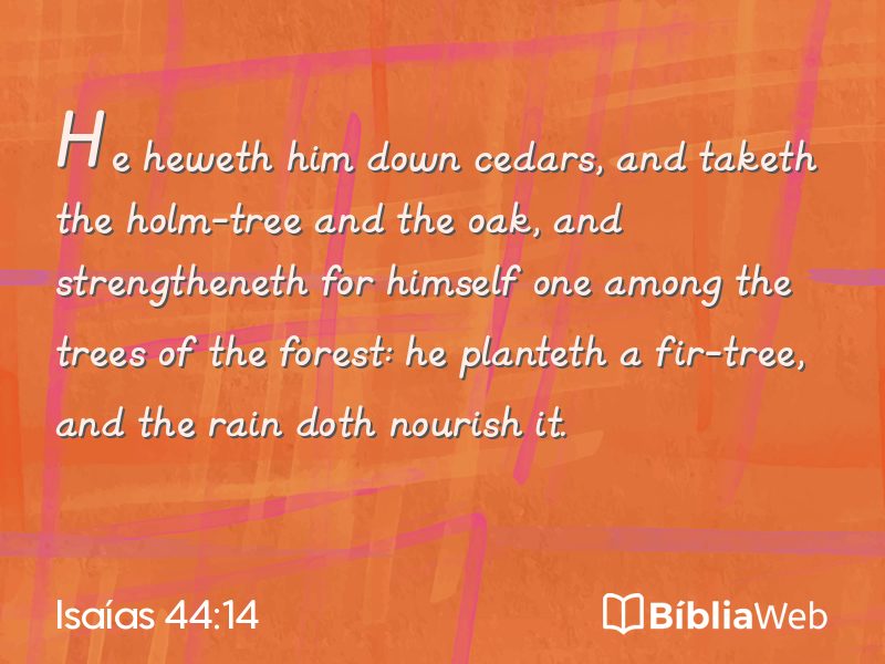 Isaías 44:14 em imagem para compartilhar