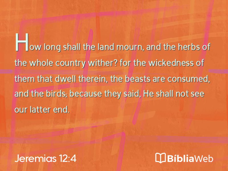 Jeremias 12:4 em imagem para compartilhar
