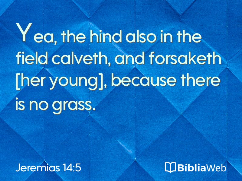 Jeremias 14:5 em imagem para compartilhar