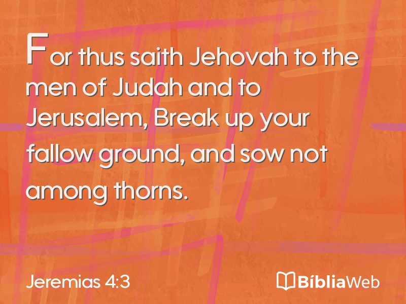 Jeremias 4:3 em imagem para compartilhar