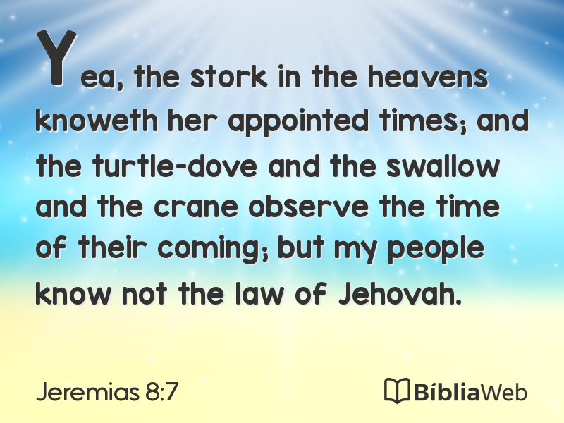 Jeremias 8:7 em imagem para compartilhar