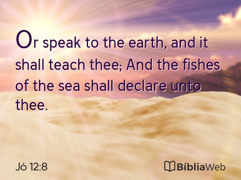 Jó 12:8 em imagem para compartilhar