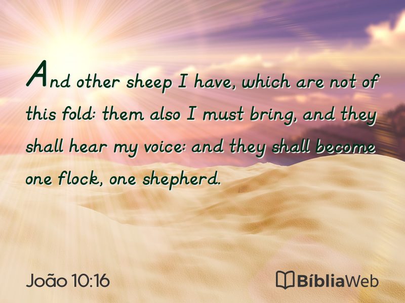 João 10:16 em imagem para compartilhar