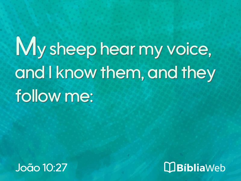 João 10:27 em imagem para compartilhar