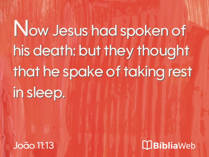João 11:13 em imagem para compartilhar