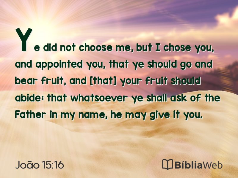 João 15:16 em imagem para compartilhar