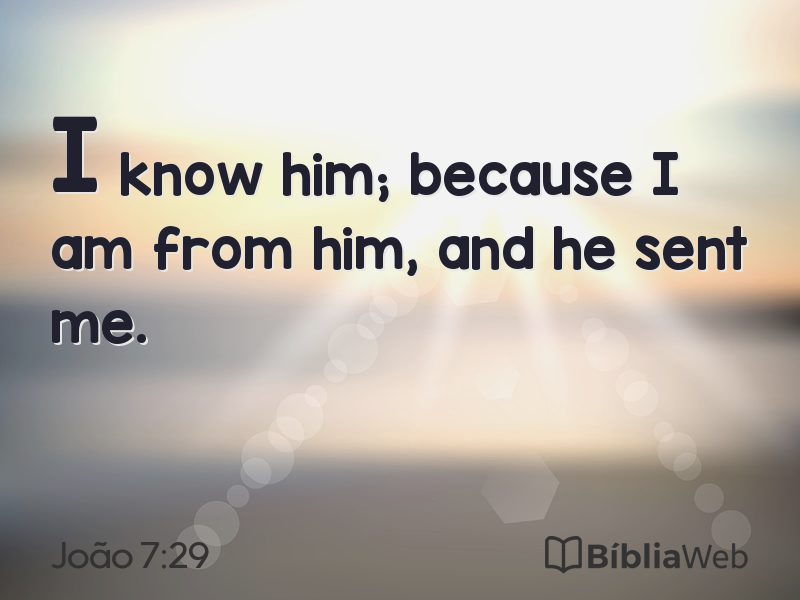 João 7:29 em imagem para compartilhar