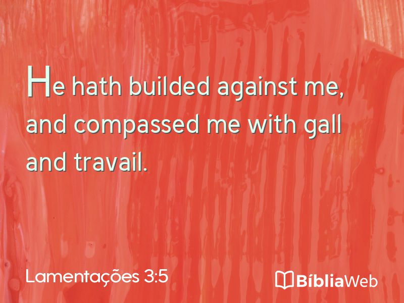 Lamentações 3:5 em imagem para compartilhar