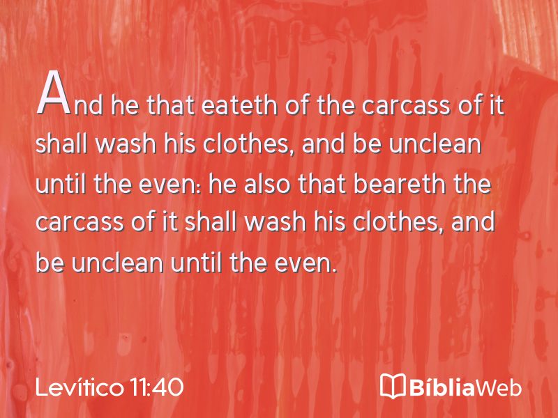 Levítico 11:40 em imagem para compartilhar
