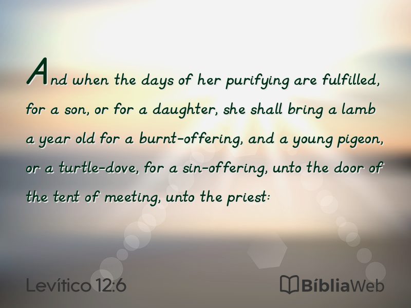Levítico 12:6 em imagem para compartilhar