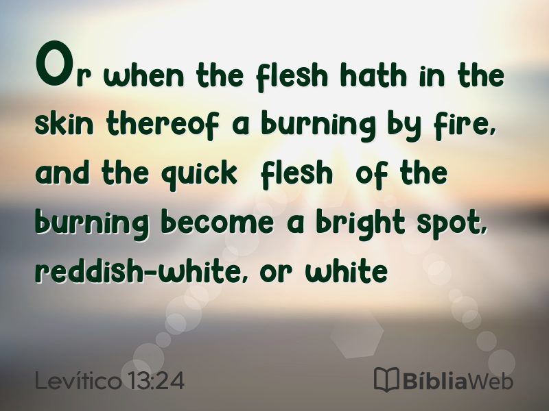 Levítico 13:24 em imagem para compartilhar