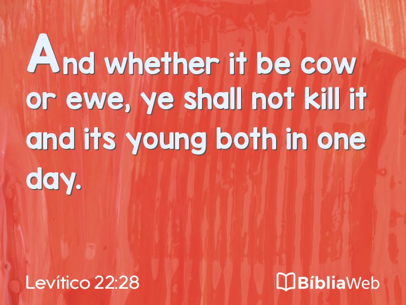 Levítico 22:28 em imagem para compartilhar