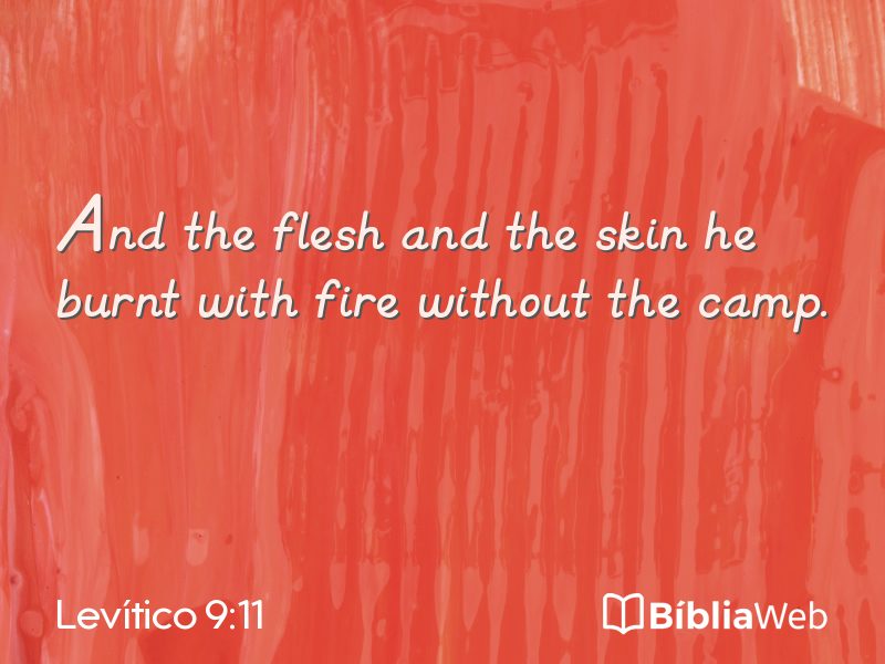 Levítico 9:11 em imagem para compartilhar