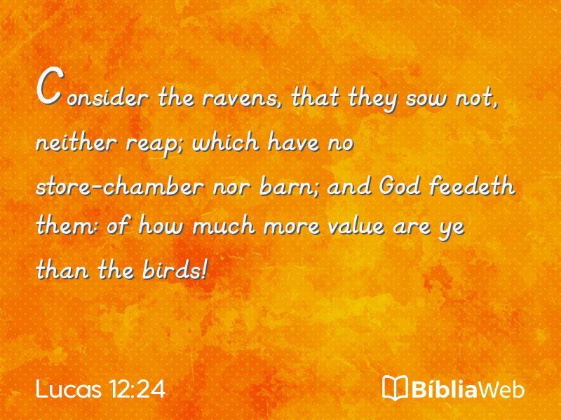 Lucas 12:24 em imagem para compartilhar
