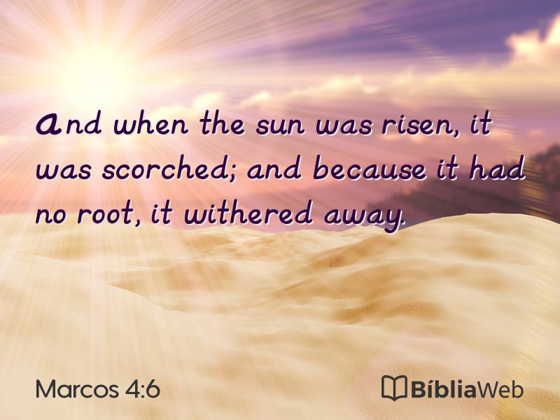 Marcos 4:6 em imagem para compartilhar