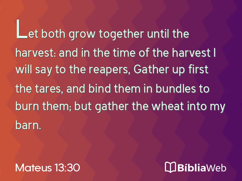 Mateus 13:30 em imagem para compartilhar
