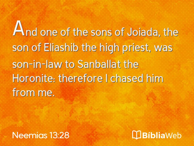 Neemias 13:28 em imagem para compartilhar