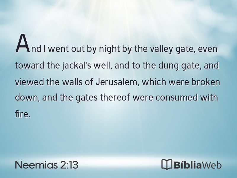 Neemias 2:13 em imagem para compartilhar