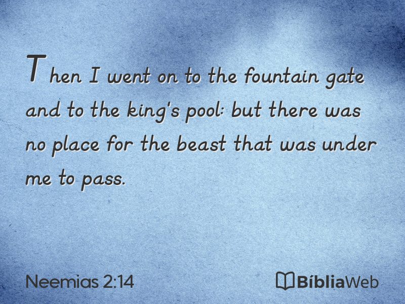 Neemias 2:14 em imagem para compartilhar