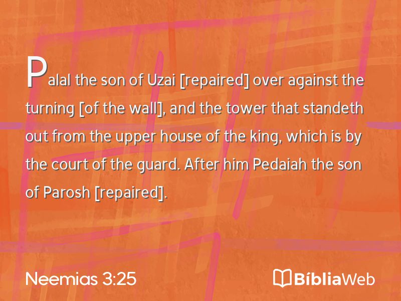 Neemias 3:25 em imagem para compartilhar