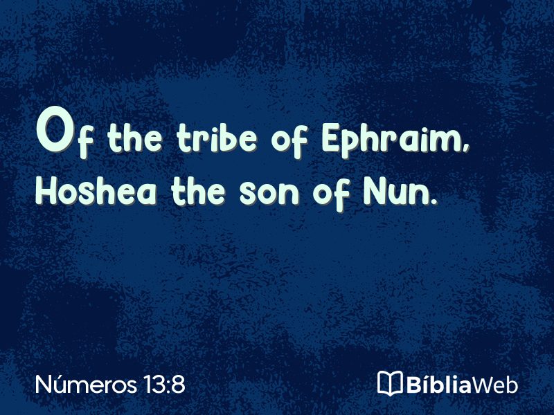 Números 13:8 em imagem para compartilhar