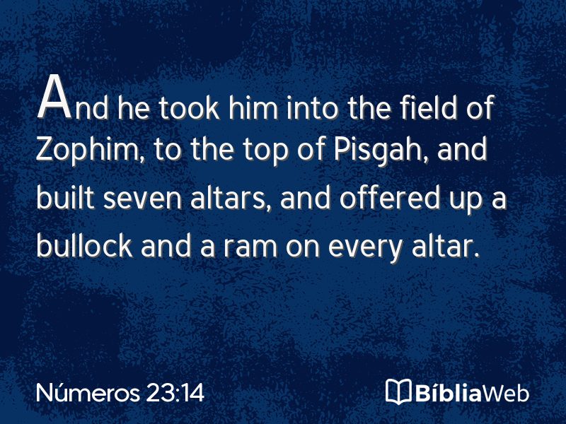 Números 23:14 em imagem para compartilhar