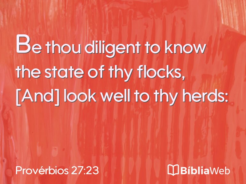 Provérbios 27:23 em imagem para compartilhar